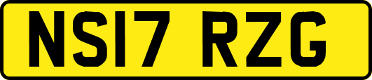 NS17RZG