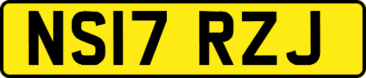 NS17RZJ