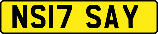 NS17SAY