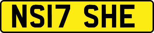 NS17SHE
