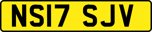 NS17SJV