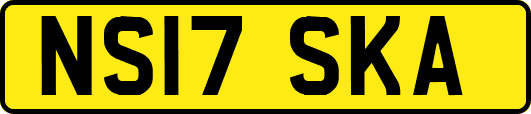 NS17SKA