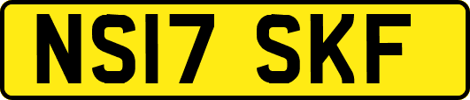 NS17SKF