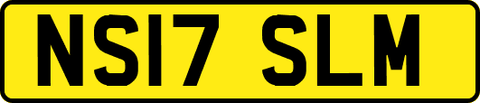 NS17SLM