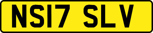 NS17SLV