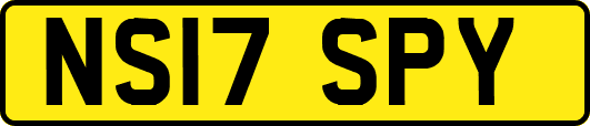 NS17SPY