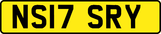 NS17SRY