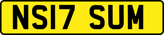 NS17SUM