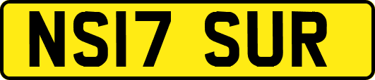 NS17SUR