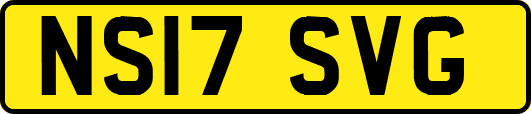 NS17SVG