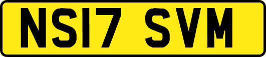 NS17SVM