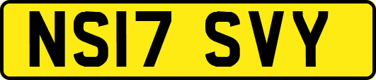 NS17SVY