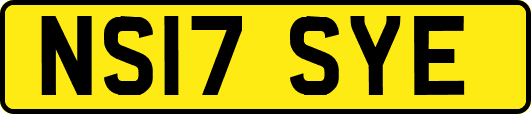 NS17SYE