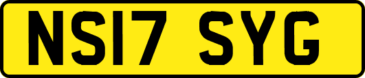 NS17SYG