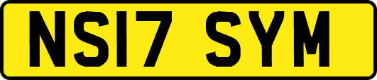 NS17SYM