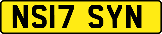 NS17SYN