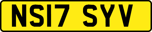 NS17SYV