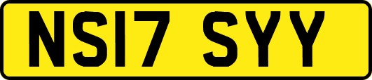 NS17SYY