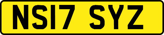 NS17SYZ