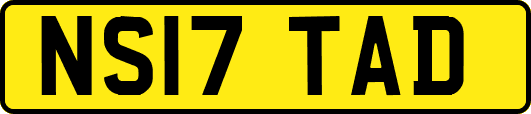 NS17TAD
