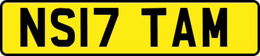 NS17TAM