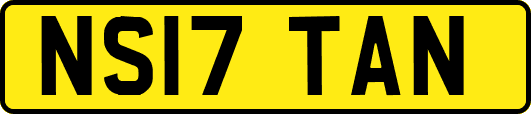 NS17TAN