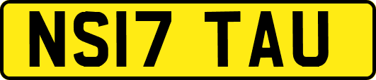 NS17TAU