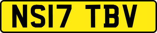 NS17TBV