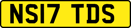 NS17TDS