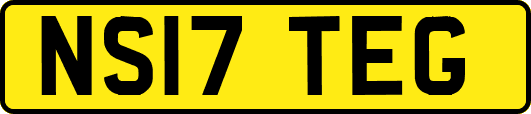 NS17TEG