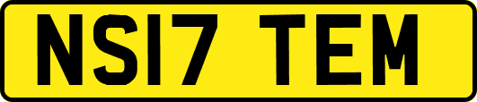 NS17TEM