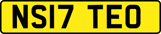NS17TEO