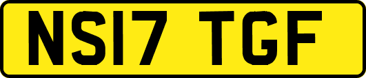 NS17TGF