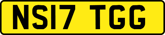 NS17TGG