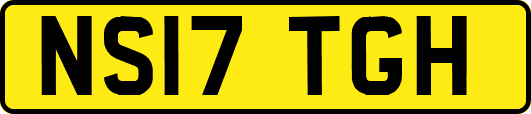 NS17TGH