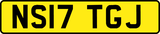 NS17TGJ