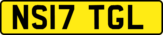 NS17TGL