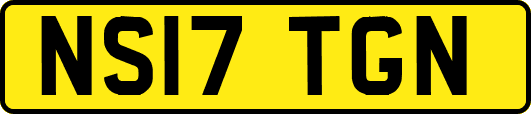 NS17TGN