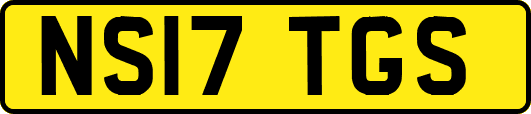 NS17TGS