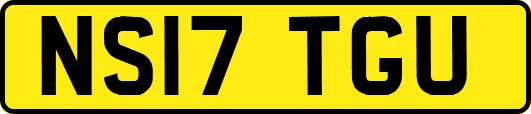 NS17TGU