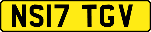 NS17TGV