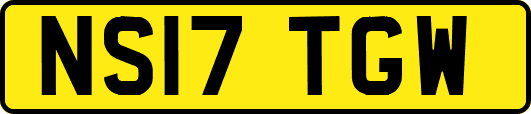 NS17TGW