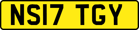 NS17TGY