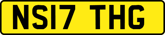 NS17THG