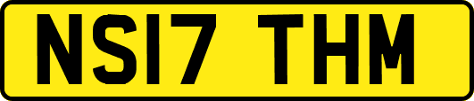 NS17THM