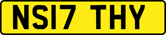 NS17THY