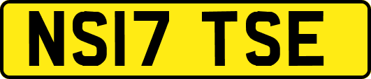 NS17TSE