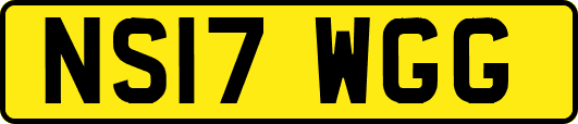 NS17WGG