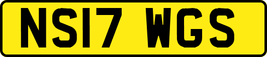 NS17WGS