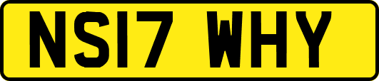 NS17WHY